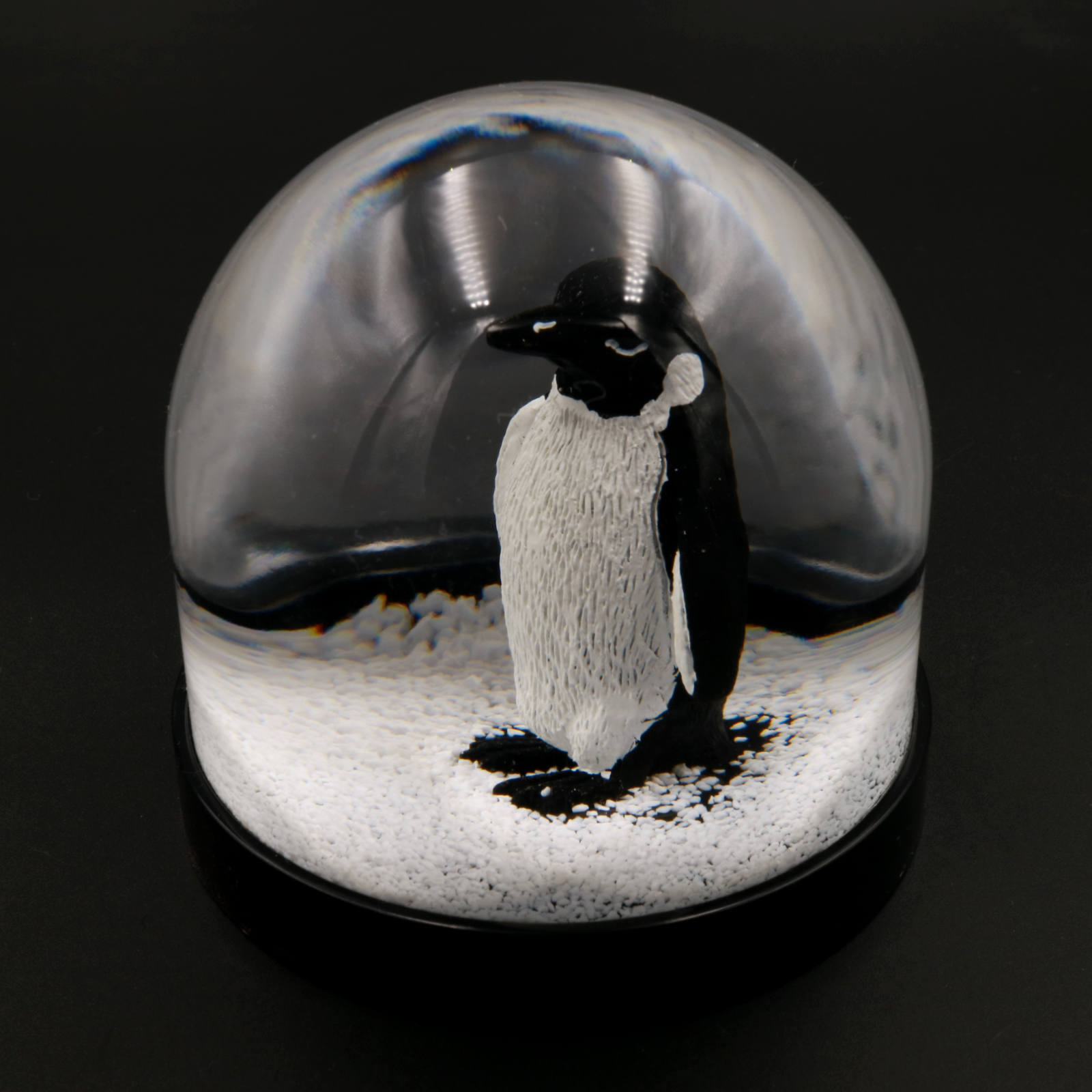 BIGBANG スノードーム♡ ◉bigbang スノードーム LAST DANCE グッズ Amazon.co.jp